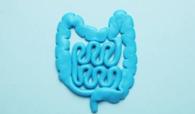 il meridiano dell'intestino tenue in kinesiologia