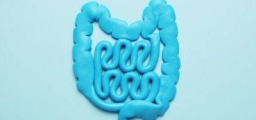 il meridiano dell'intestino tenue in kinesiologia